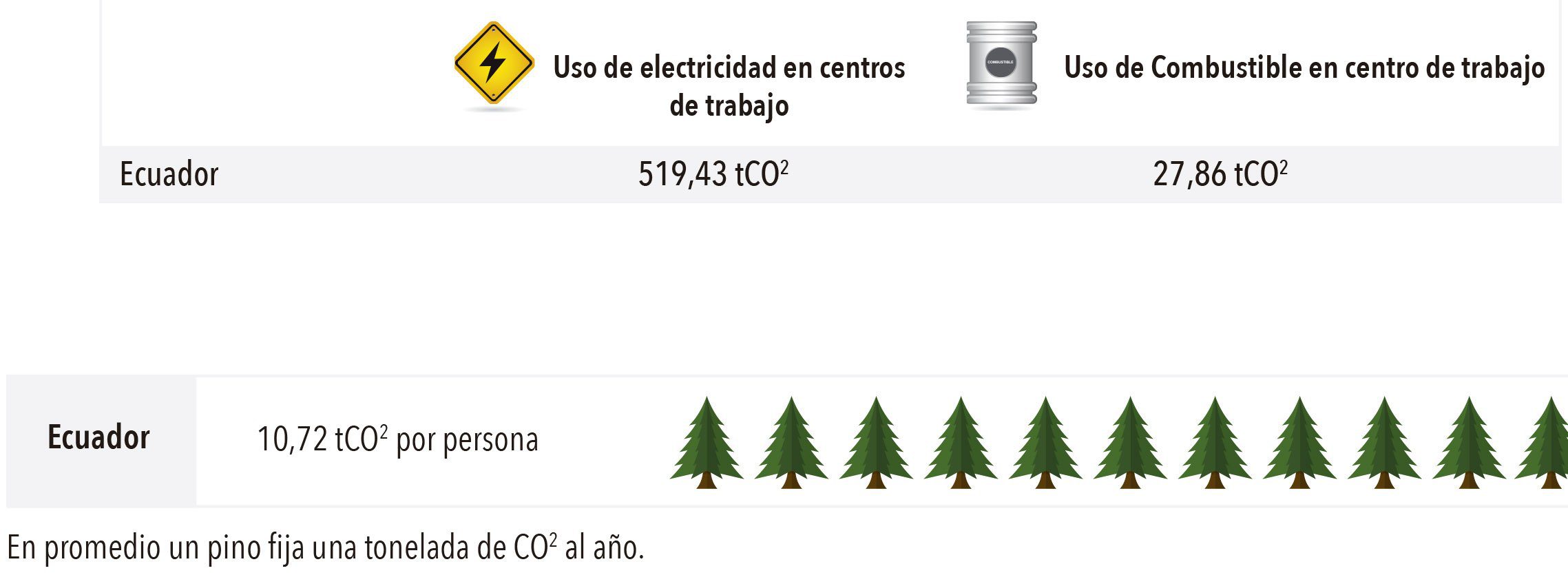 imagen1