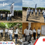 ENSAYOS EN CAMPO EN PERÚ RESPALDAN EL ALTO DESEMPEÑO DE NYCTEO EN CULTIVOS DE EXPORTACIÓN.