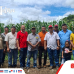 PRIMER DÍA DE CAMPO 2025 EN PANAMÁ CON NUESTRA SEMILLA ESPLENDOR, CALIDAD COMPROBADA.