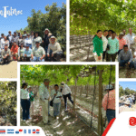 INTEROC LLEVA INNOVACIÓN Y CONOCIMIENTO A LOS CULTIVOS DE PALTO Y UVA EN EL NORTE DEL PERÚ