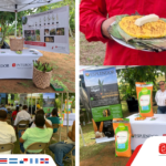 ESPLENDOR: HÍBRIDO DE MAÍZ AMARILLO QUE CONQUISTA LOS CAMPOS DE CENTROAMÉRICA.