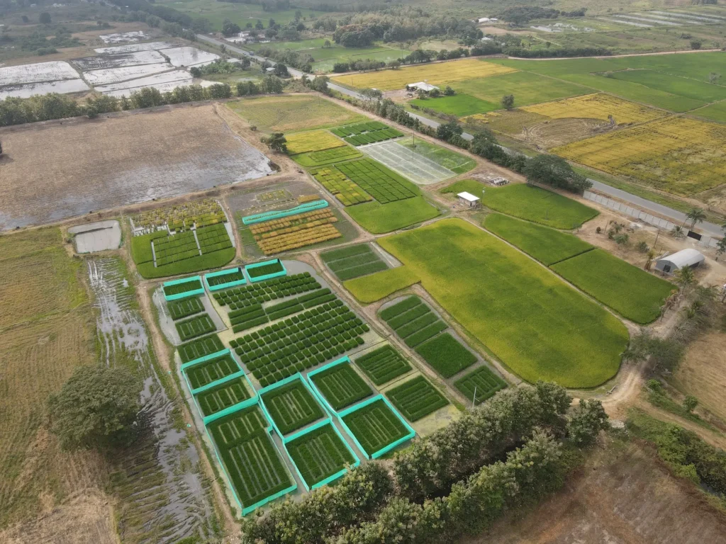 Estación Experimental Palestina Ecuador