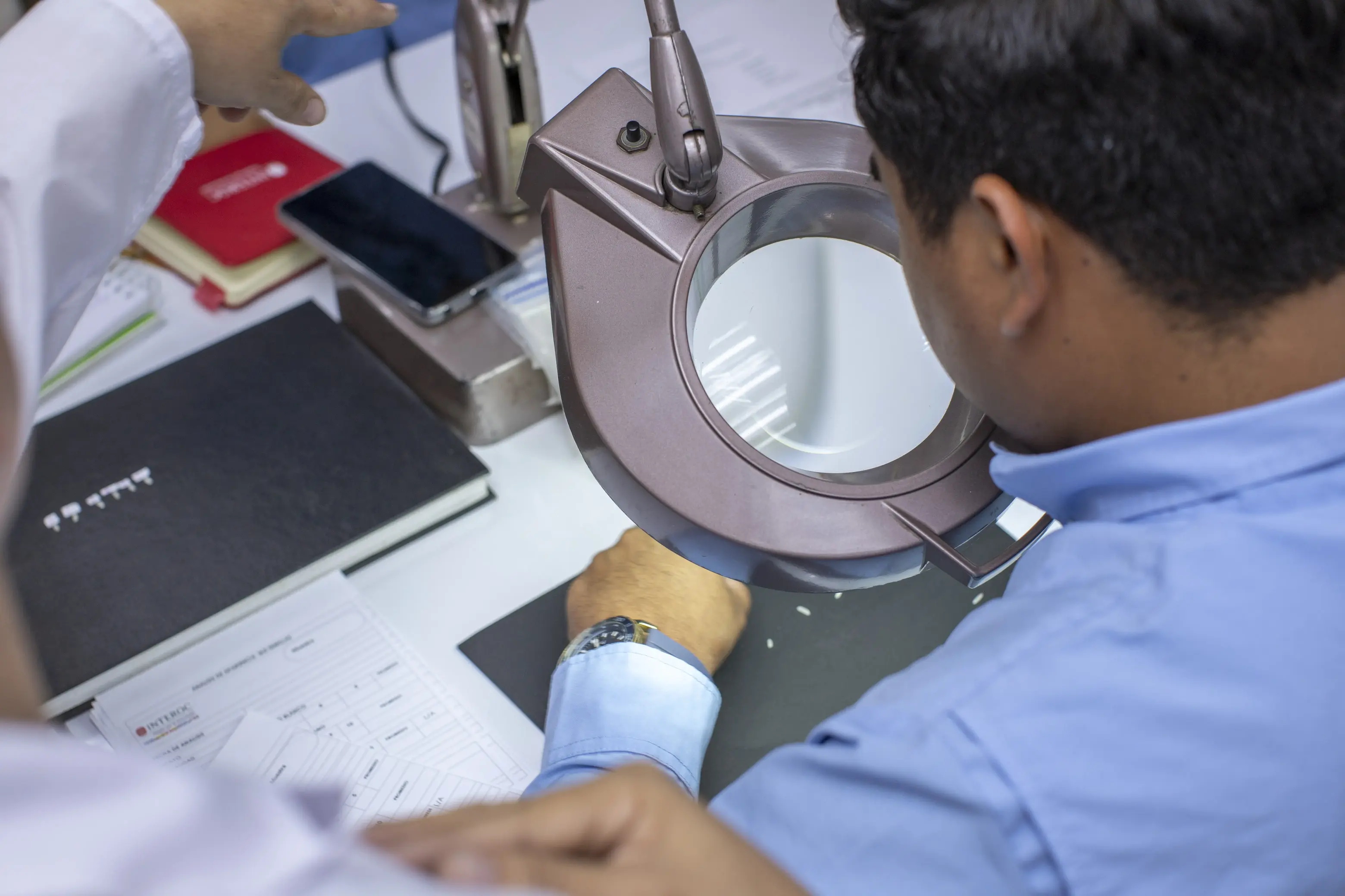 Evaluación de apariencia de grano en laboratorio INTEROC