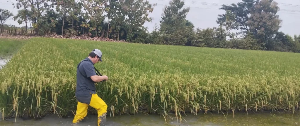 Evaluación de materiales en campo