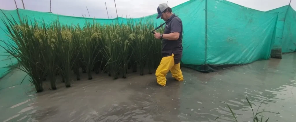 Evaluación test cross con tablet