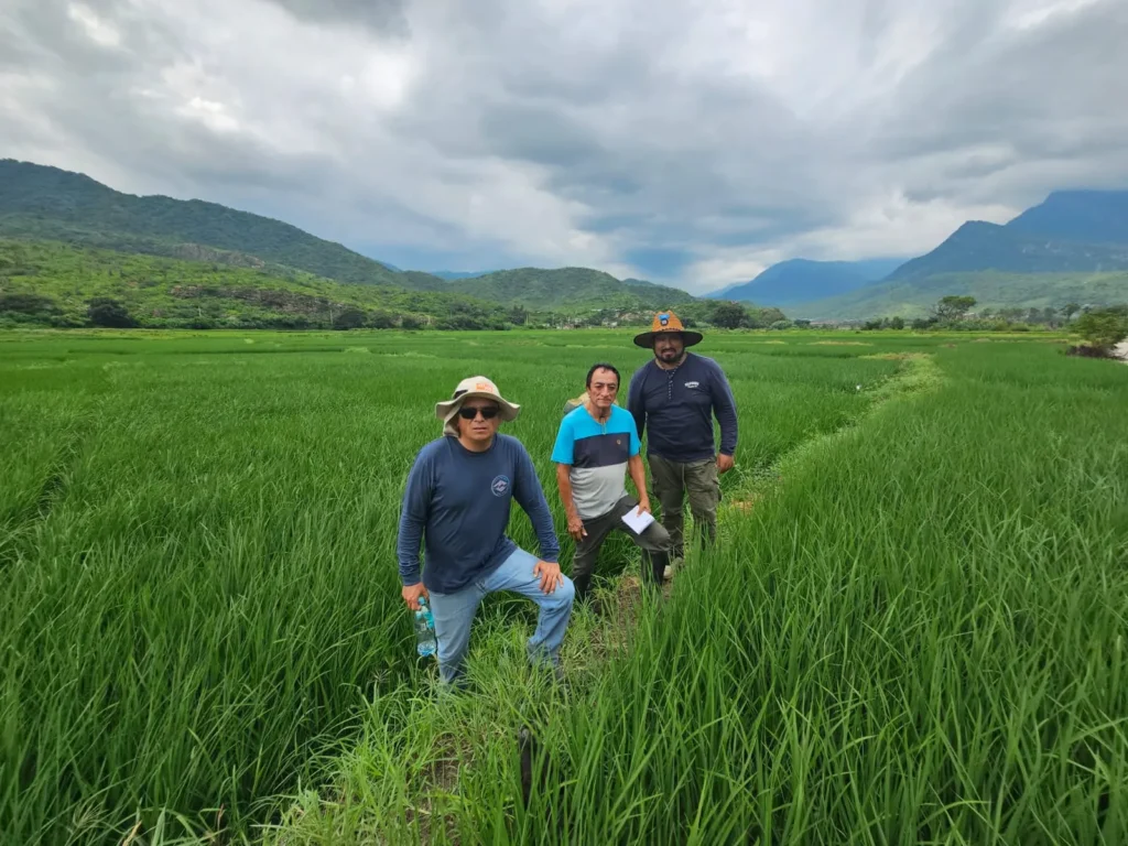 Pruebas de rendimiento PERU